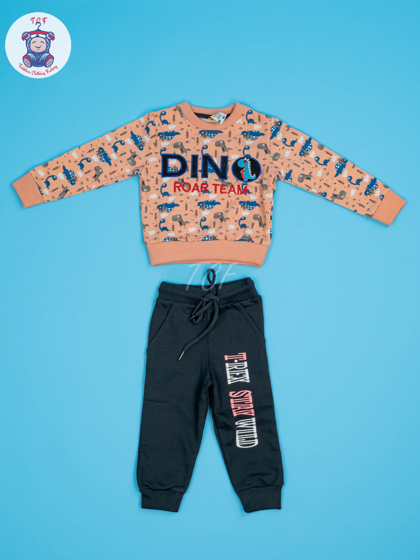 Kids Dino Jogger Set
