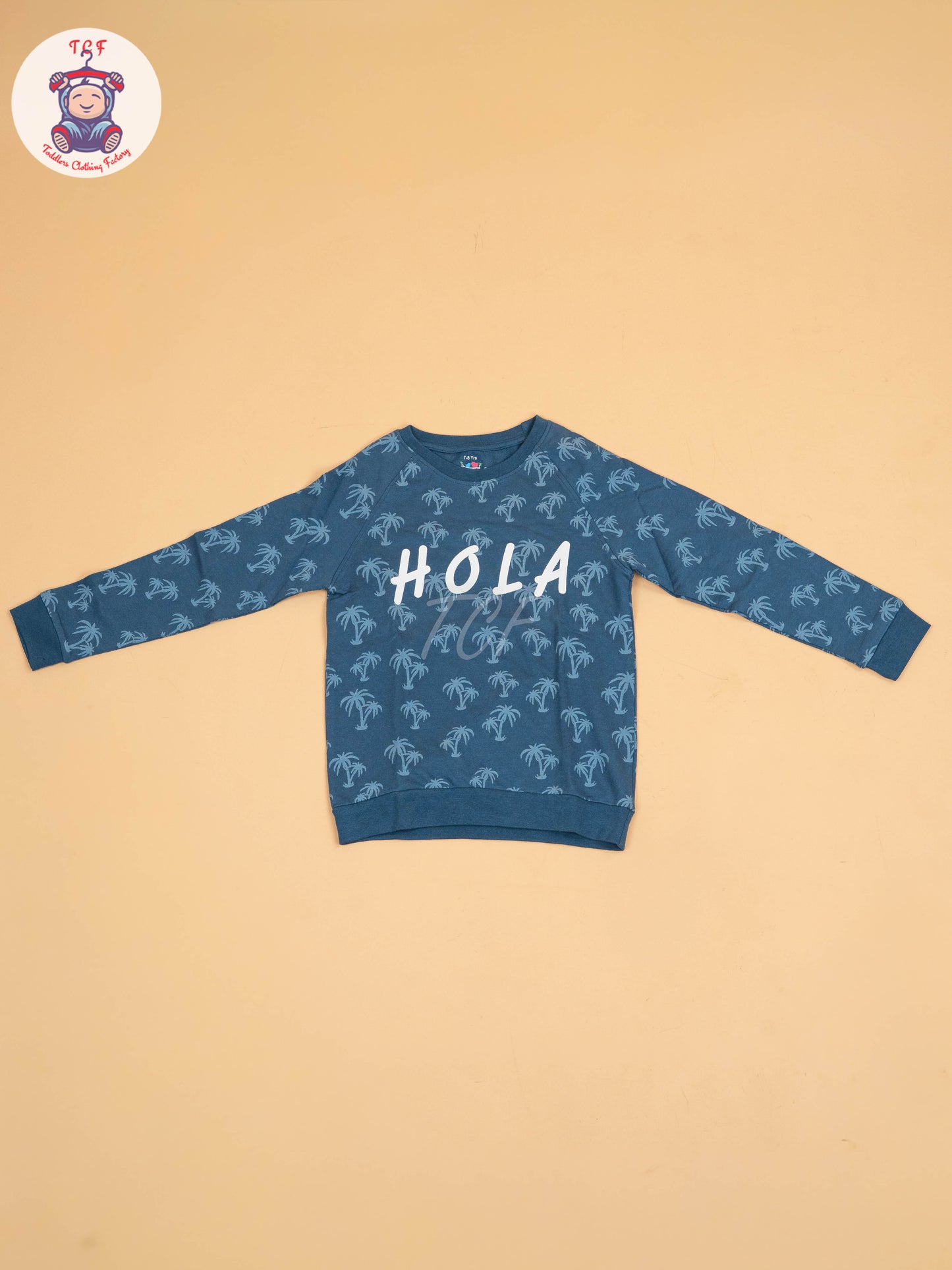 Blue - Boys Sweat shirt