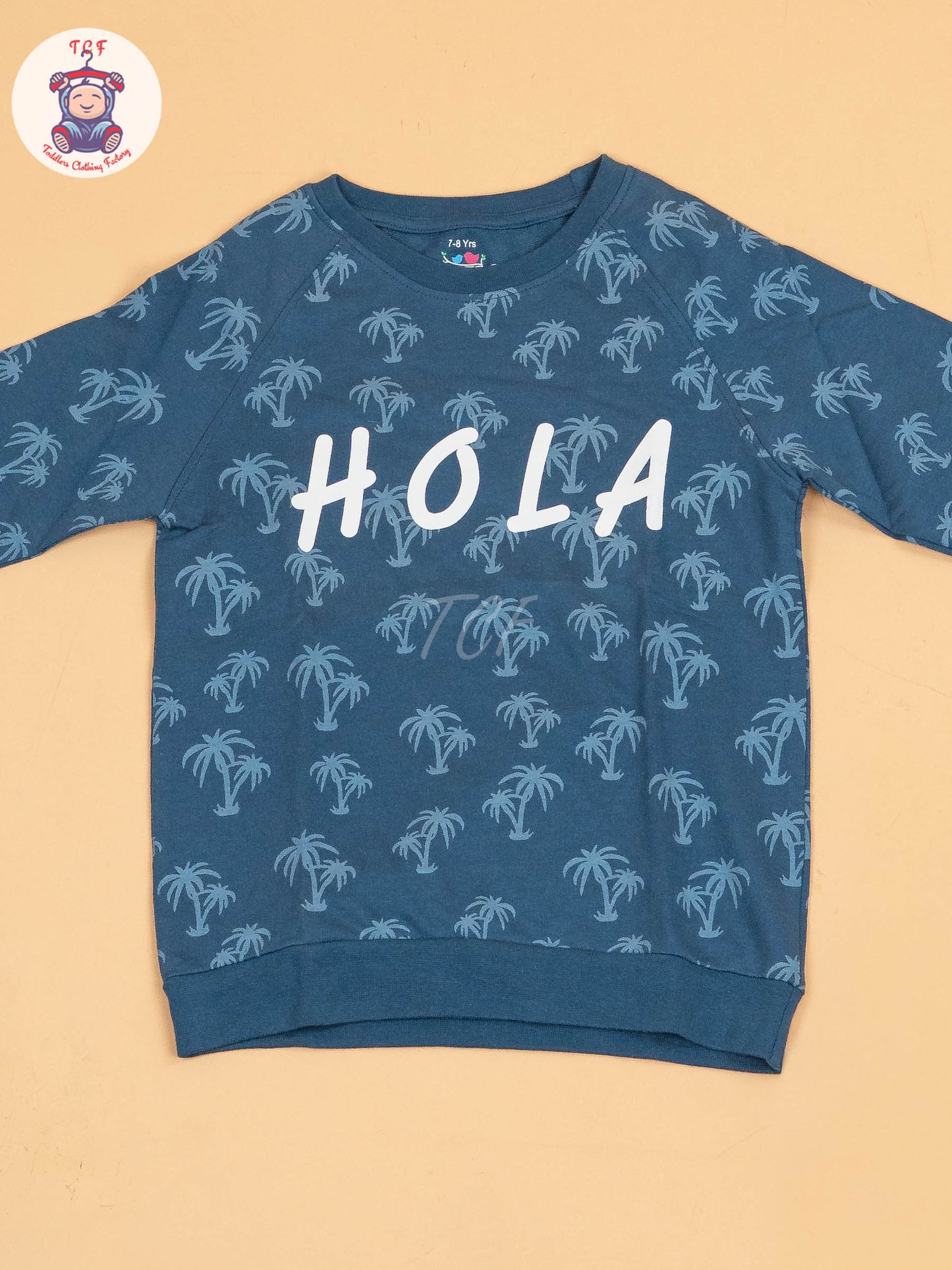 Blue - Boys Sweat shirt