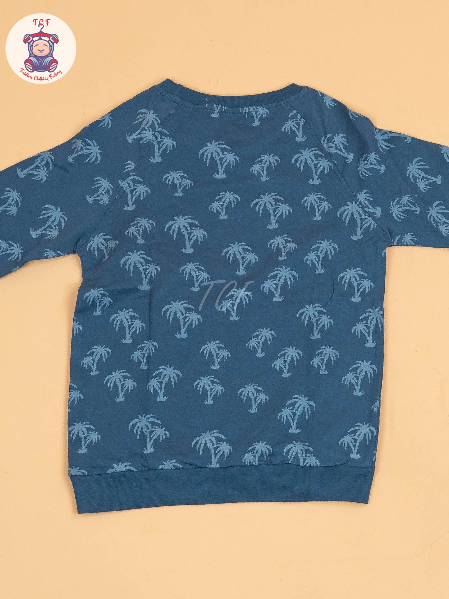 Blue - Boys Sweat shirt