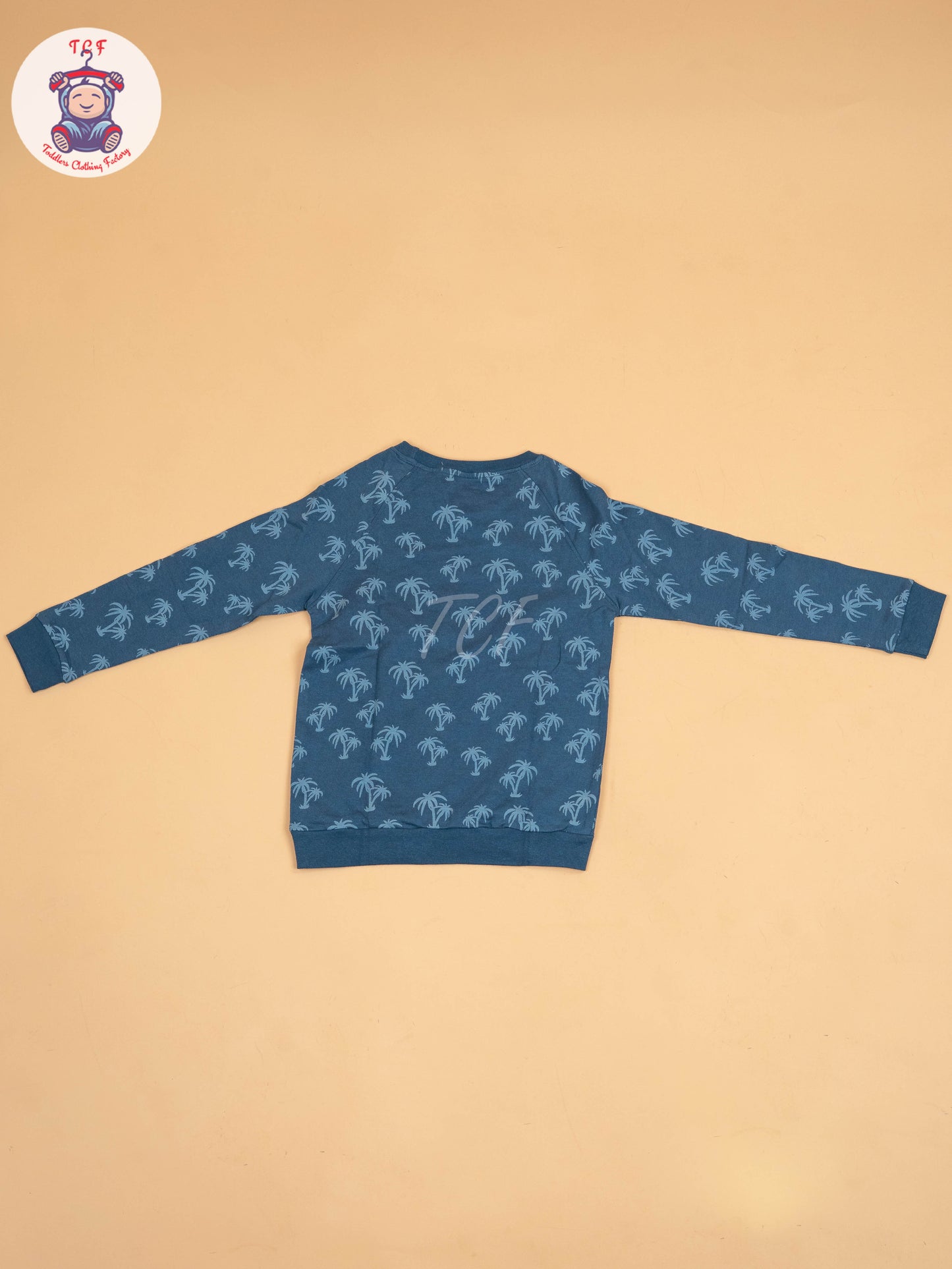 Blue - Boys Sweat shirt
